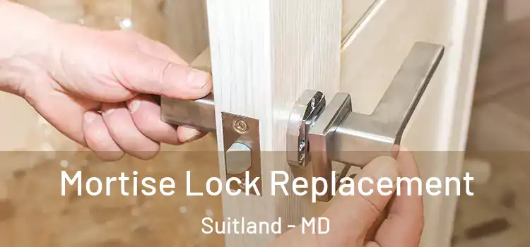 Mortise Lock Replacement Suitland - MD